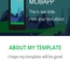 App Fun v2 a Mobile App Landing Flat Bootstrap Responsive Web Template