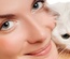 4Pets animals Mobile Website Template