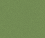 Forthright:  | TEMPLATED