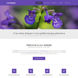 CatMint: CSS Templates | TEMPLATED