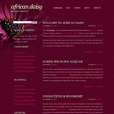 AfricanDaisy:  | TEMPLATED