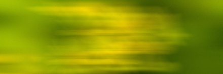 Seascape:  | TEMPLATED