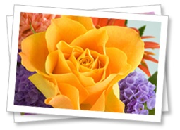 Floral Template