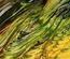 SoftHued:  | TEMPLATED