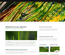 SoftHued:  | TEMPLATED