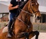 Horse Crew Sports Category Bootstrap Responsive Website Template