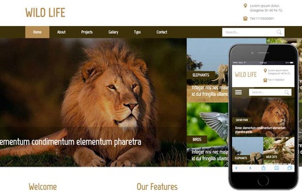 Wild Life a Animal Category Flat Bootstrap Responsive Web Template