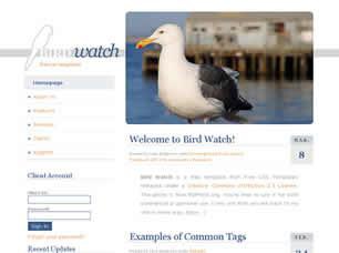 Bird Watch Free CSS Template