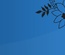 Dark Gray Template