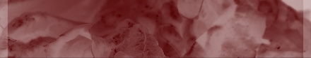 Food Blog Template