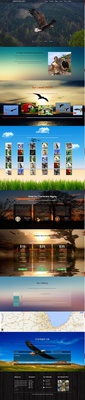 Ornithology An Animal Category Flat Bootstrap Responsive Web Template