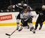 Skating a Sports Category Flat Bootstrap Responsive Web Template