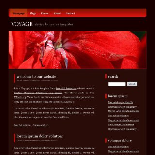 Voyage:  | TEMPLATED