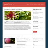 MacroSpikes:  | TEMPLATED