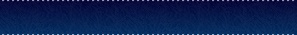 Blue Media Template