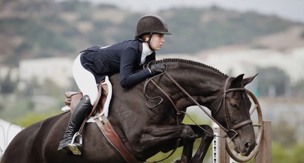 Horse Crew Sports Category Bootstrap Responsive Website Template
