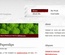 Briefcase:  | TEMPLATED