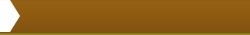 Bird Store Template