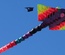 Festive Kites a Newsletter Responsive Web Template