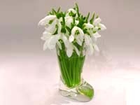 Flower Shop Template