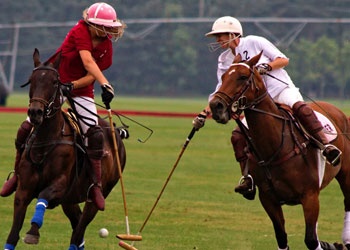 Horse Crew Sports Category Bootstrap Responsive Website Template