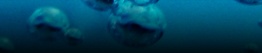 Ice Bubble Template