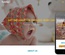 Toddler an Education Category Bootstrap Responsive Web Template