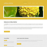 YellowDahlia:  | TEMPLATED