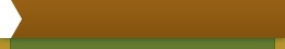 Bird Store Template