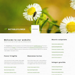 NotableFlowers: CSS Templates | TEMPLATED