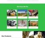 Farm an Agriculture Category Bootstrap Responsive Web Template